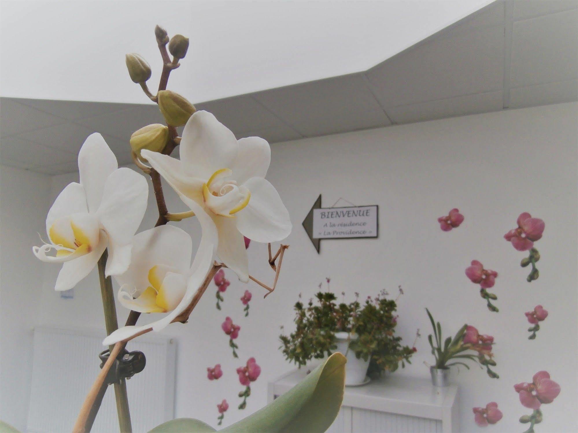 Residence La Providence Zenao Lisieux Dış mekan fotoğraf